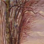 Meriggio grigio Meriggio grigio