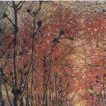 Le Mura di Lucca dopo la pioggia da Porta S. Maria Le Mura di Lucca dopo la pioggia da Porta S. Maria